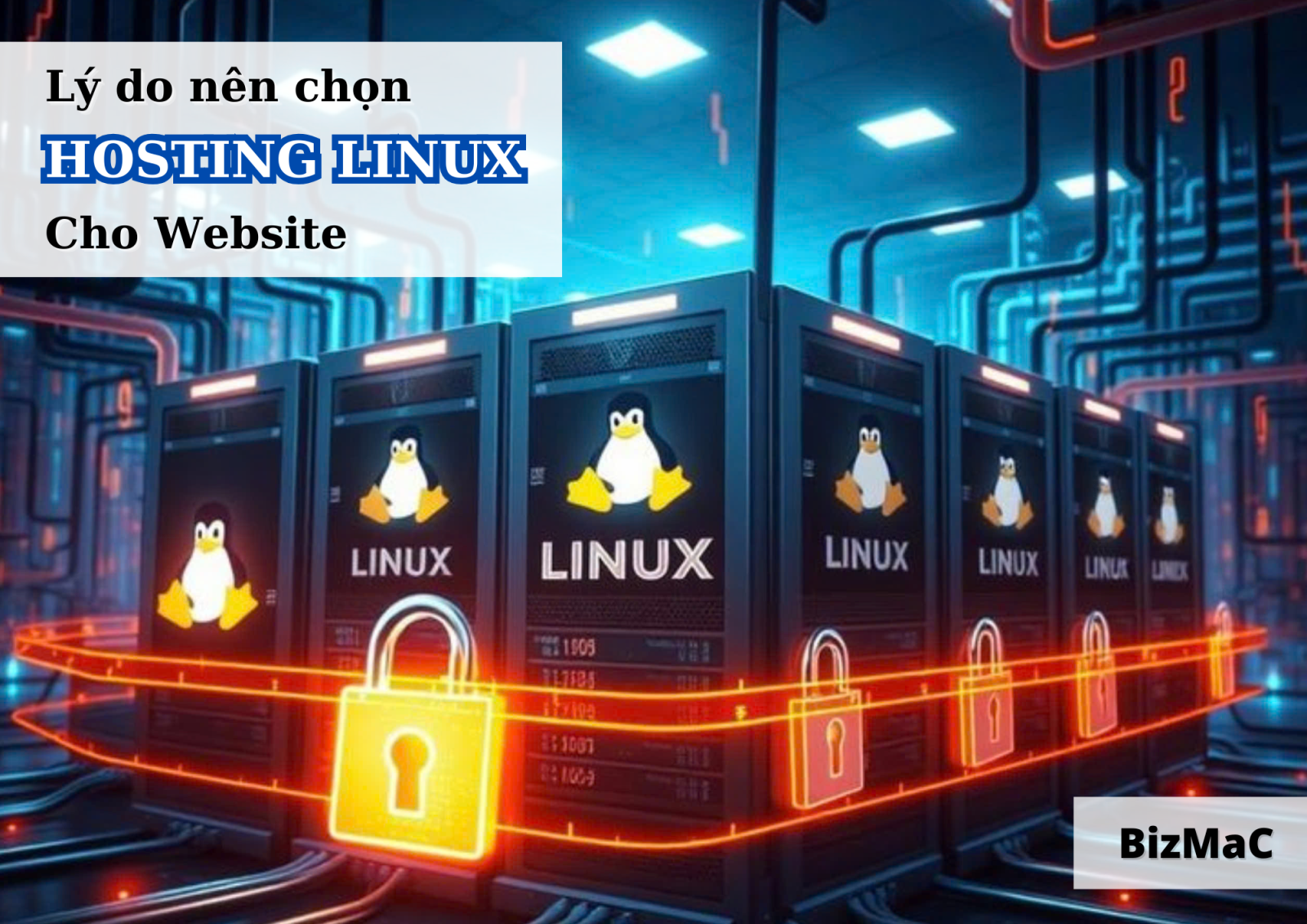 5 lý do nên chọn Hosting Linux cho website tại BizMaC: Hiệu năng tối ưu, Bảo mật vượt trội, Cộng đồng hỗ trợ lớn và Giao diện thân thiện, Chi phí hợp lý và hỗ trợ chuyên nghiệp