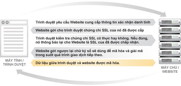 Chứng chỉ SSL là gì