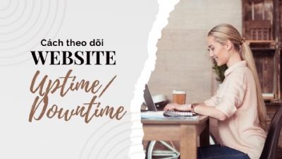 Hướng dẫn cách theo dõi website uptime và downtime