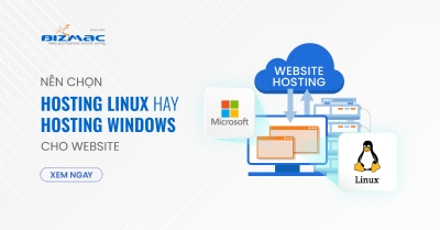 Linux Hosting và Windows Hosting - Đâu là lựa chọn tốt nhất cho Website?