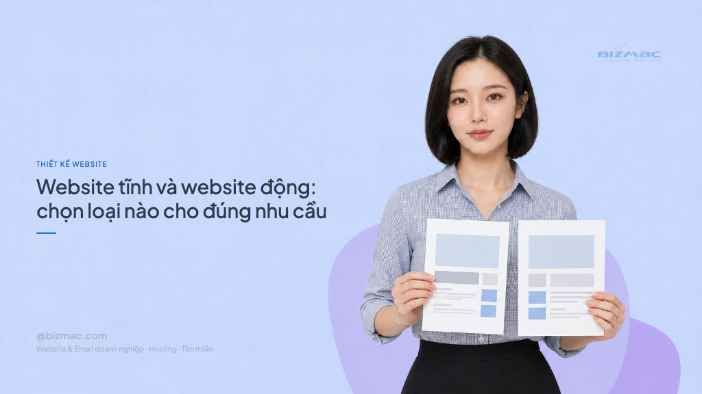 Minh hoạ cho bài Website tĩnh và website động: chọn loại nào cho đúng nhu cầu
